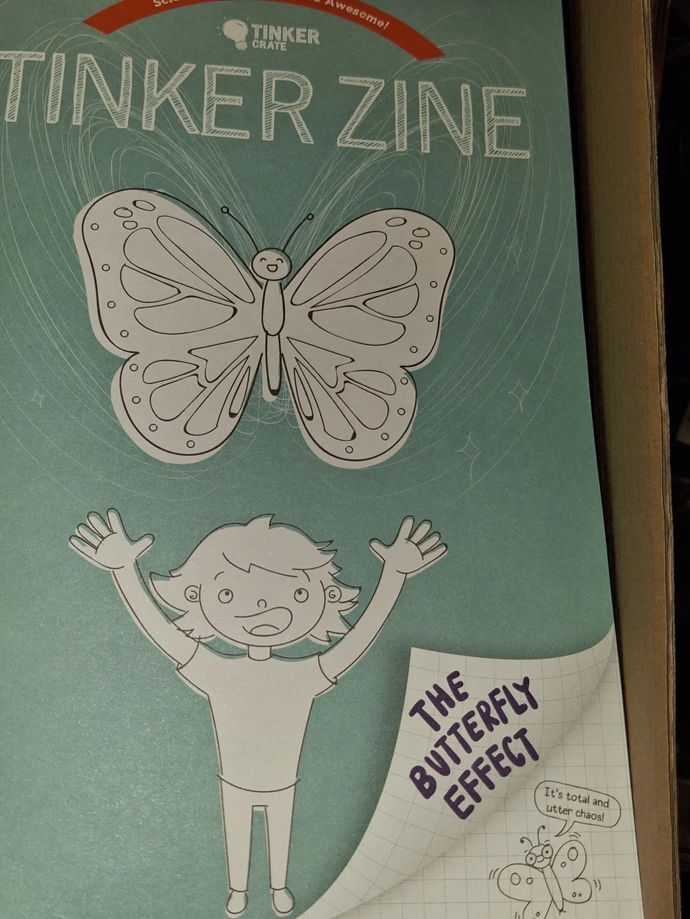 Kiwi Teal Butterfly Learning Poster